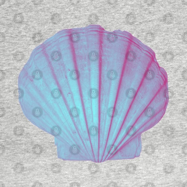 sea shell print by artbleed